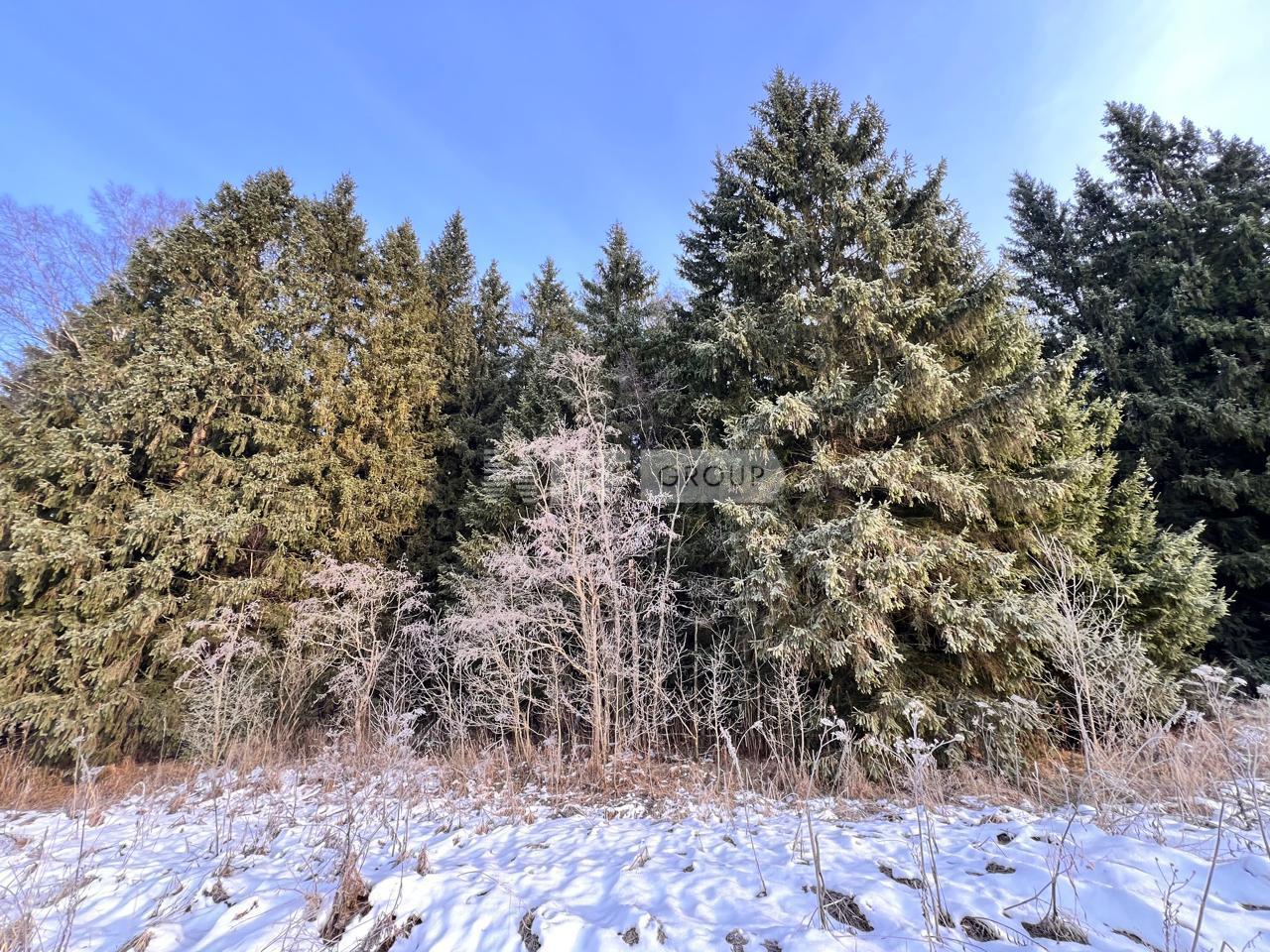 «Филатово» (Филатово)