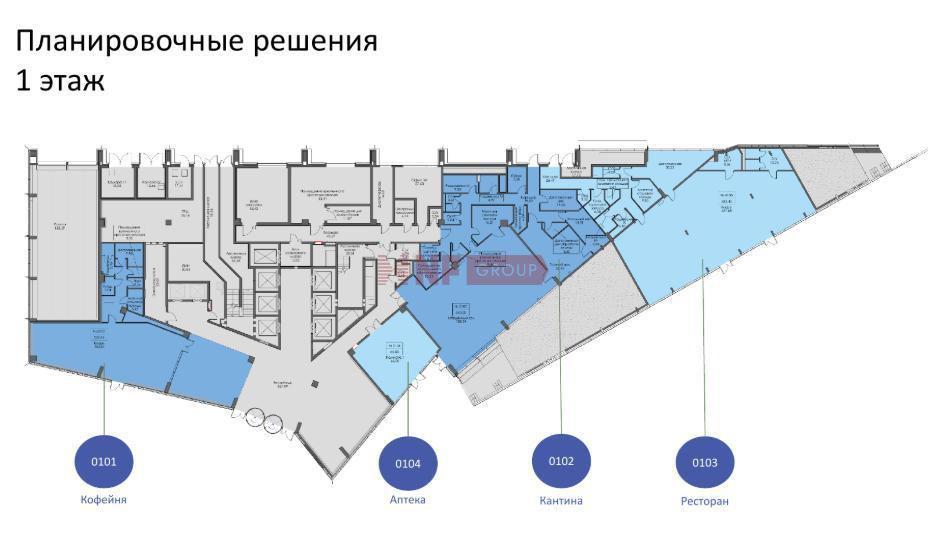 NF Group