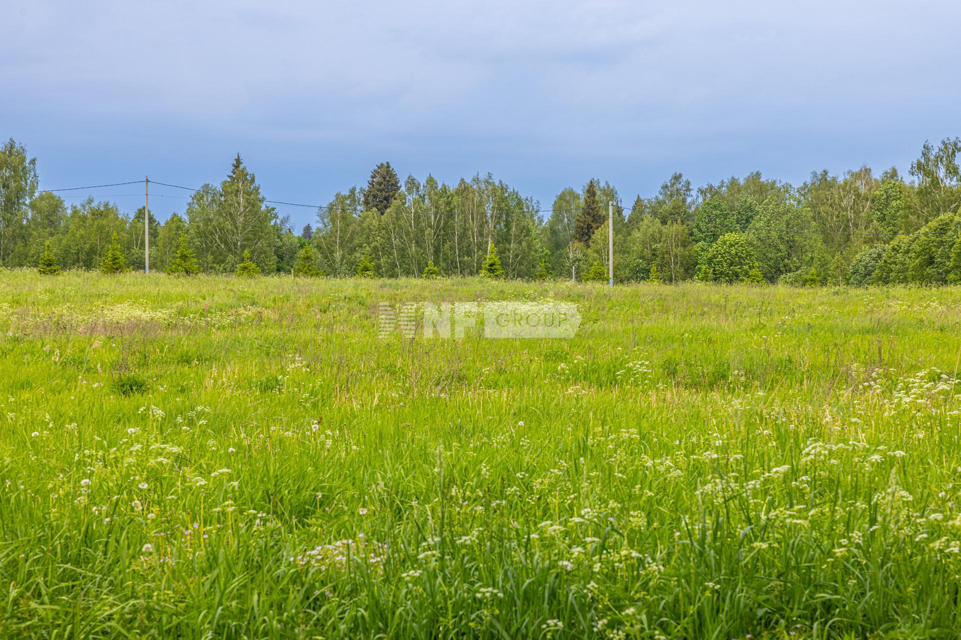 «Афинеево» (Afineevo)