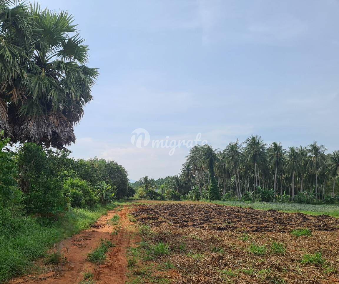 Земельный участок на продажу (2 Rai 124 SQM Land For sale at Sam Roi Yod)