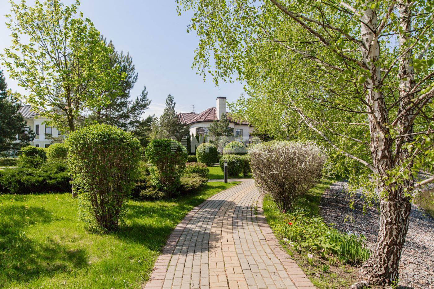 «Гринфилд» (Grinfild)