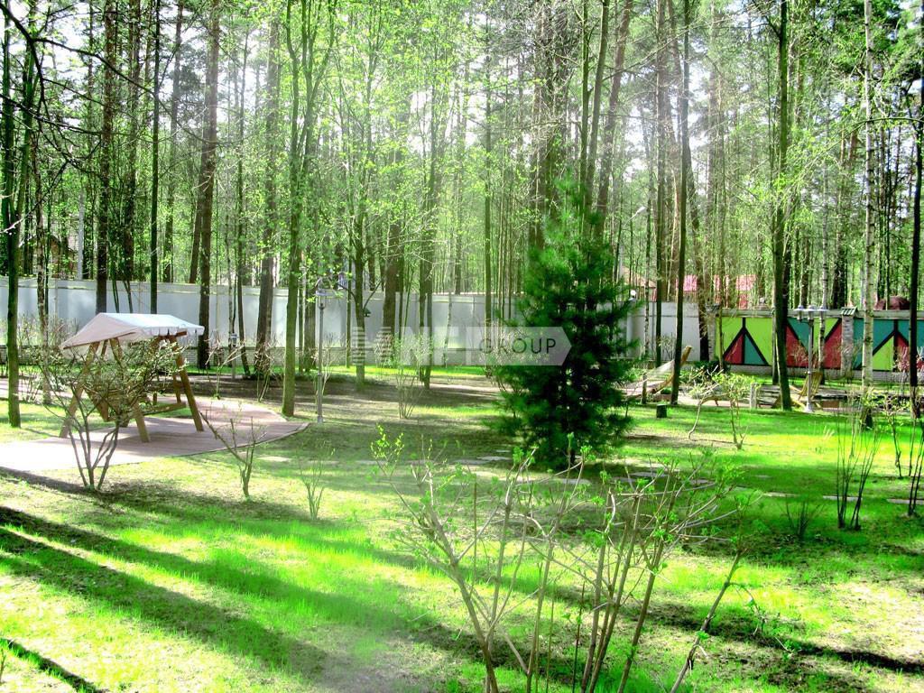 «Дипломат КИЗ» (Diplomat KIZ)