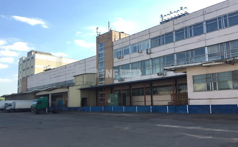 NF Group