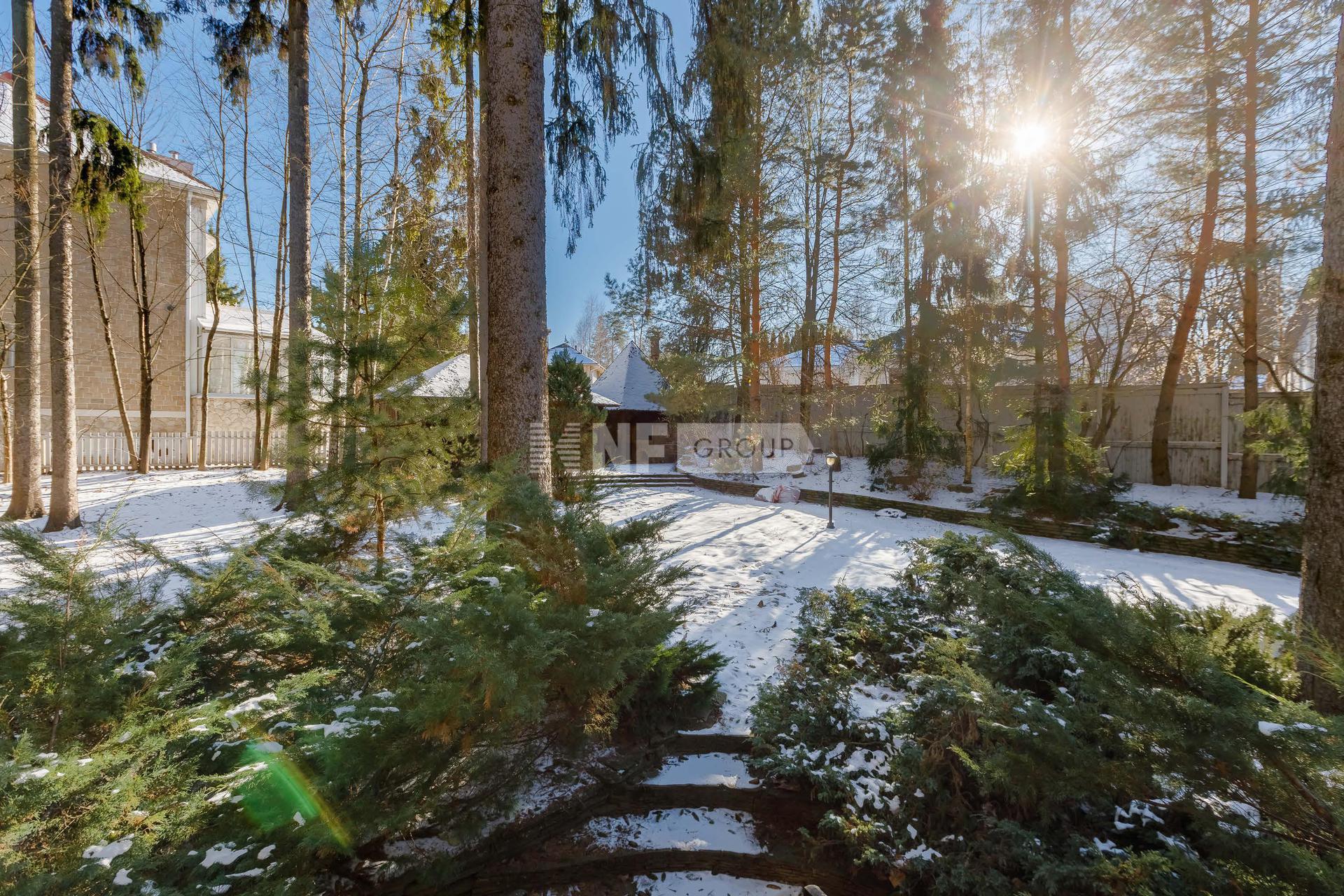 «Николино» (Nikolino)