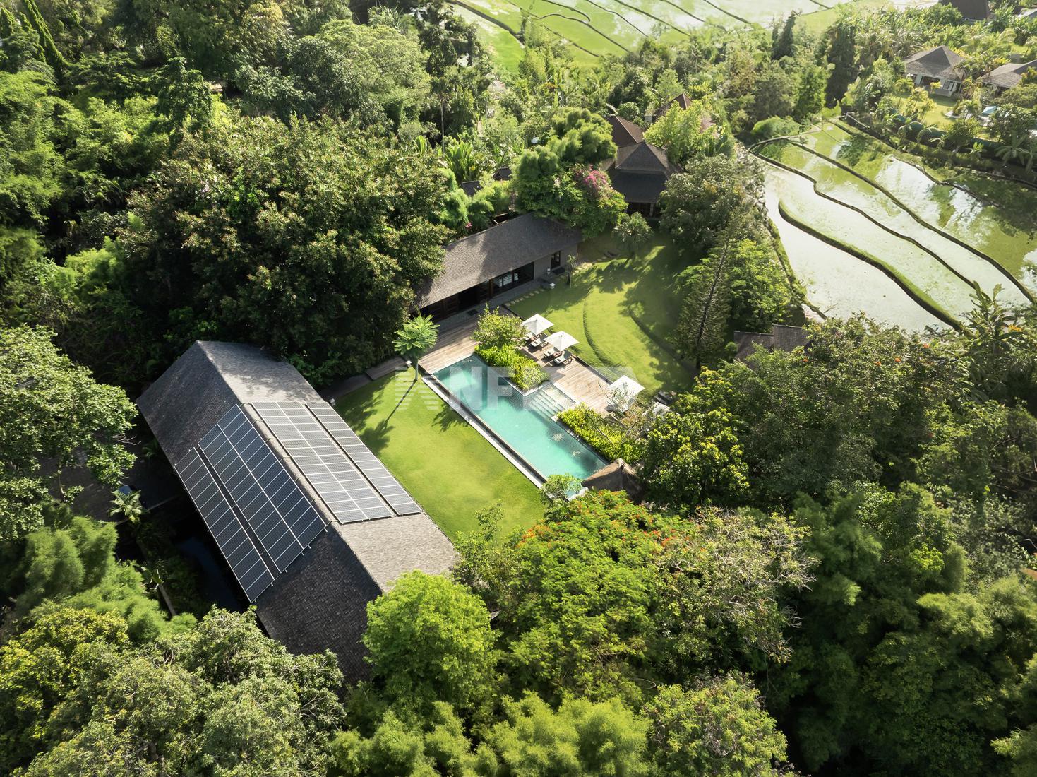Expansive Garden Villa for Sale – Freehold Title in Prime Canggu Area