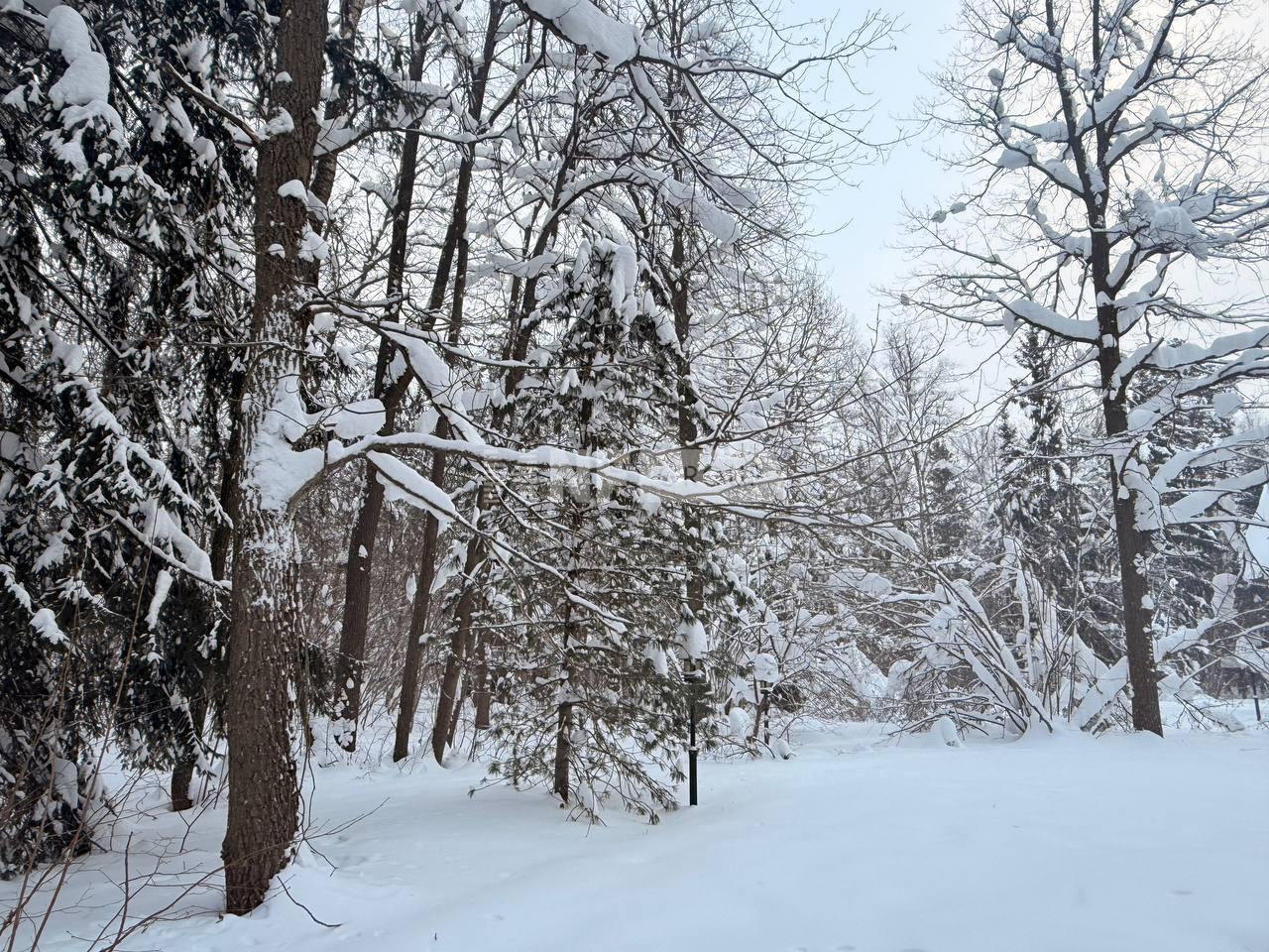 «Загорье» (Zagorye)