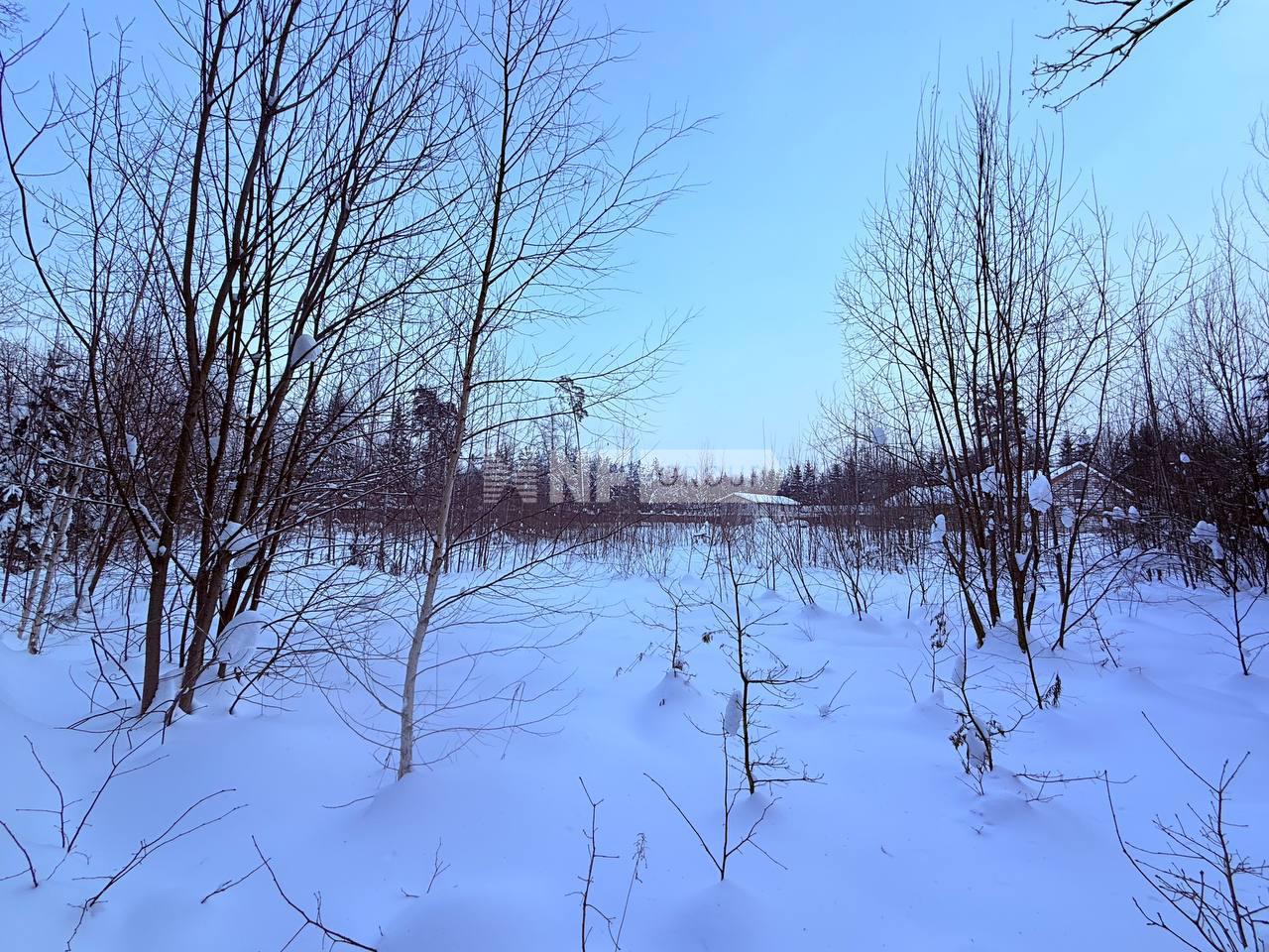 «Инек (Русское Золото)» (Inek (Russkoe Zoloto))