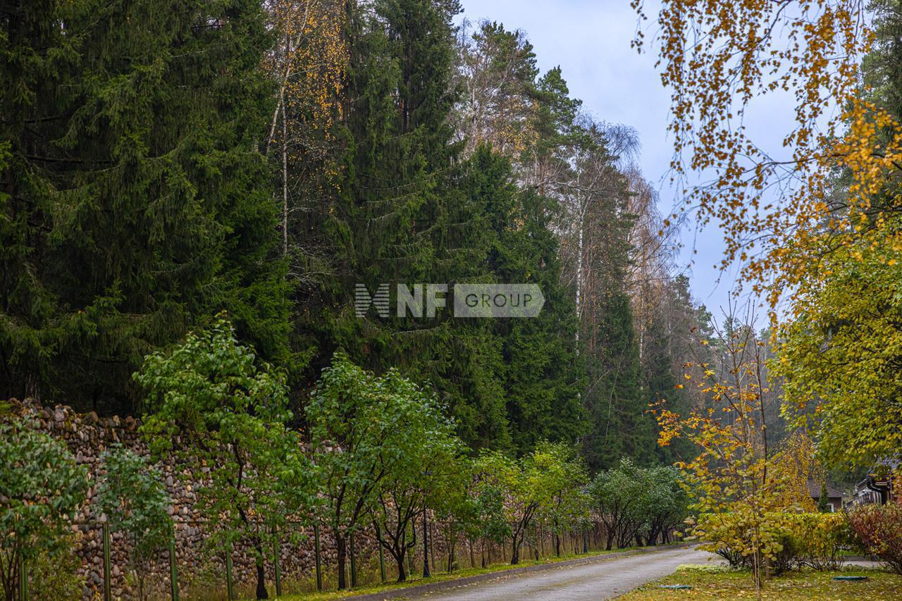 «Коттон Вэй» (Сotton Way)