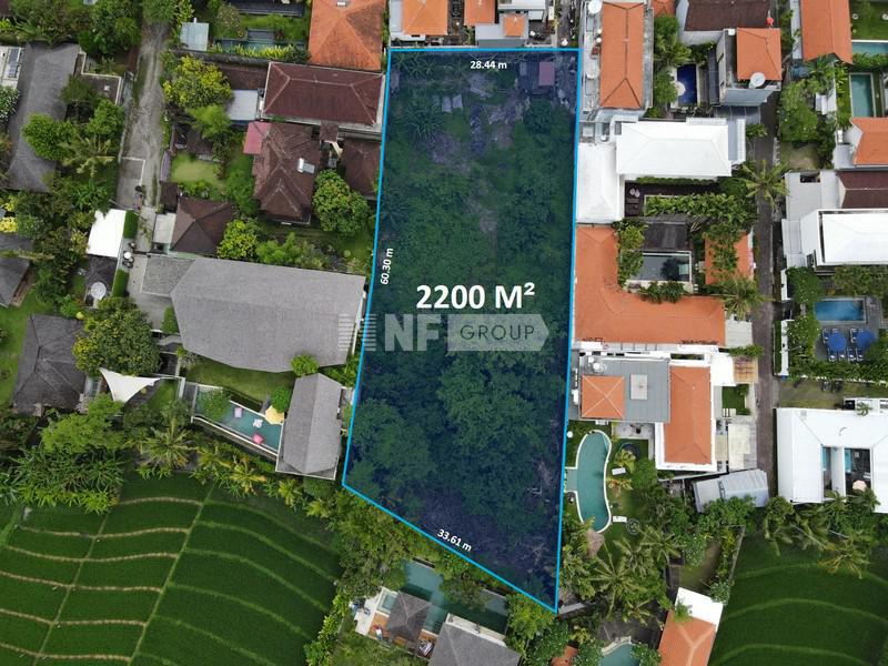 Freehold 2200 Sqm Land Minutes Drive to Berawa Beach