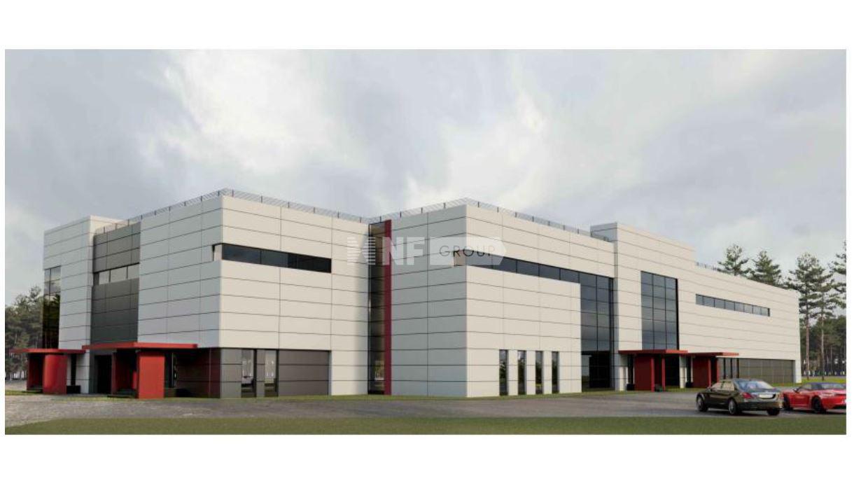 NF Group